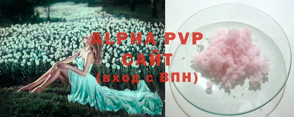 индика Верея
