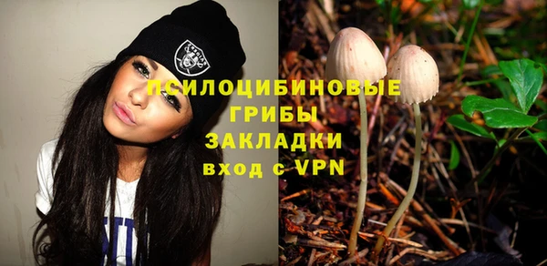 индика Верея