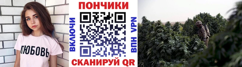 Каннабис гибрид  наркота  Выборг 